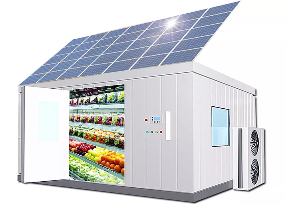 Solar powered cold storage 20FT container