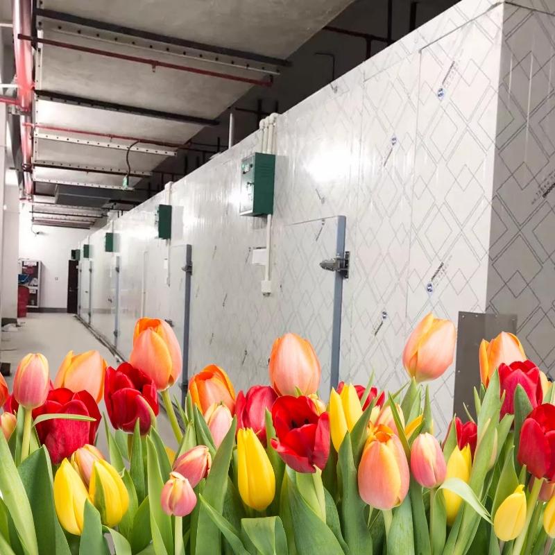 Flower storage cold room